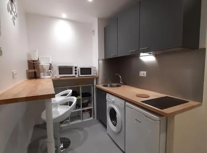 דירה Les Prairies De Bellevue, Ideal Curistes, Vacanciers Et Ouvriers *