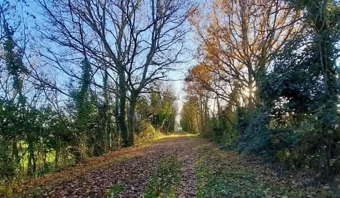 דירה Les Prairies De Bellevue, Ideal Curistes, Vacanciers Et Ouvriers