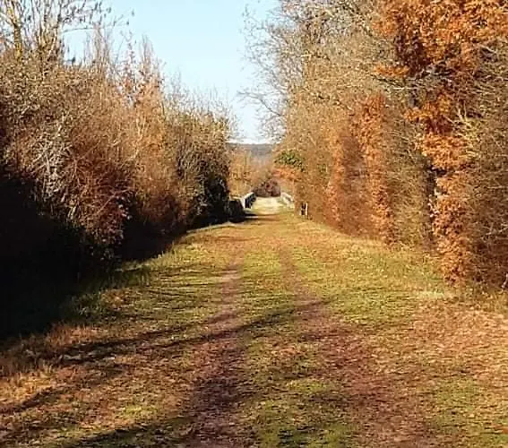Les Prairies De Bellevue, Ideal Curistes, Vacanciers Et Ouvriers * לה רוש-פוזה