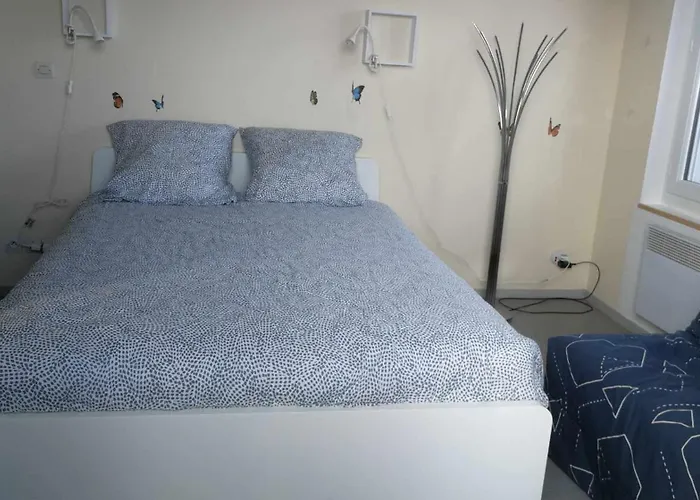 Les Prairies De Bellevue, Ideal Curistes, Vacanciers Et Ouvriers